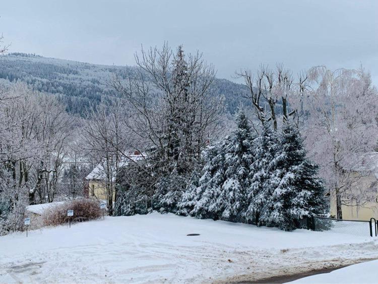 Apartamento Na Stoku Świeradów-Zdrój Exterior foto